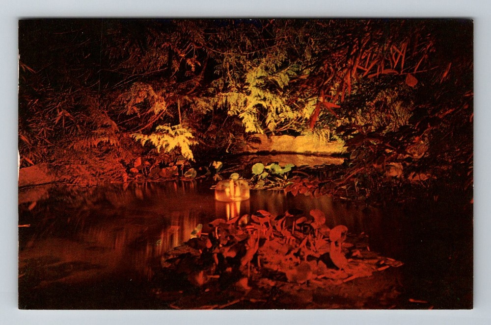 Canada- Victoria B.C Japanese Garden Illuminated Old Post View Vintage Postcard