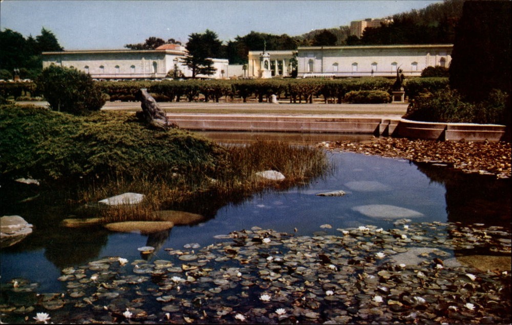 San Francisco California Academy of Sciences Golden Gate Park vintage postcard-image