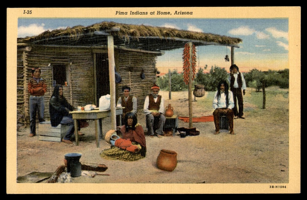 Postcard The Pima Indians At Home, Arizona