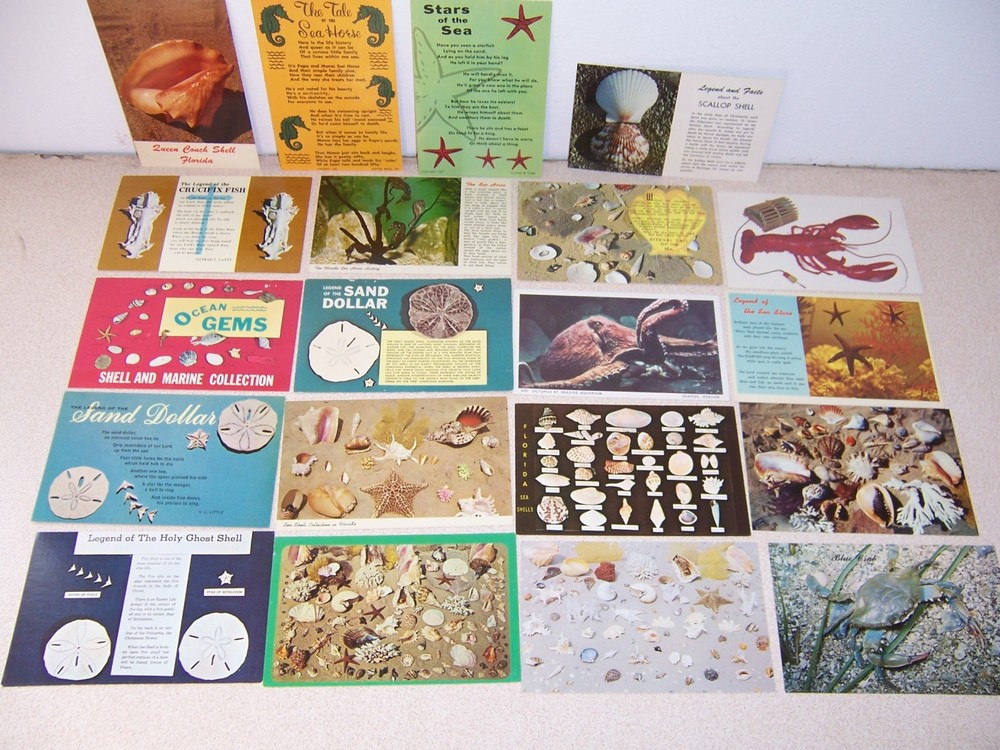 SEASHELLS, STARFISH, SEAHORSE, BEACH, NAUTICAL UNUSED POSTCARD LOT of 20 DIFF.