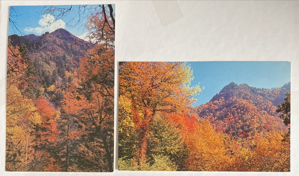 1959 2 smoky Mountain National Park, Tennessee Fall Color Scenes, Cline Company