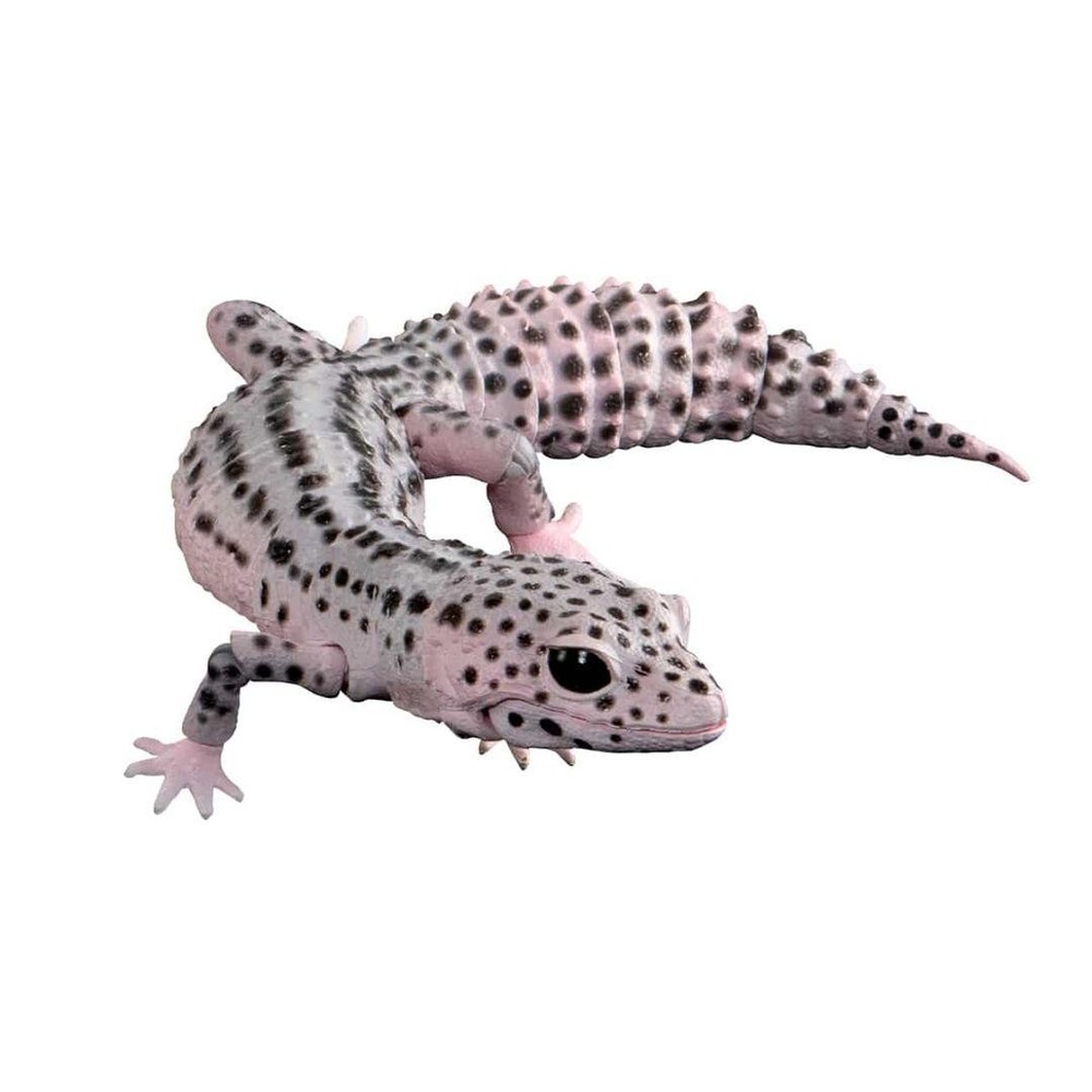 Living Creature Encyclopedia Advance Leopard Gecko Super Max Nogacha #53c96a