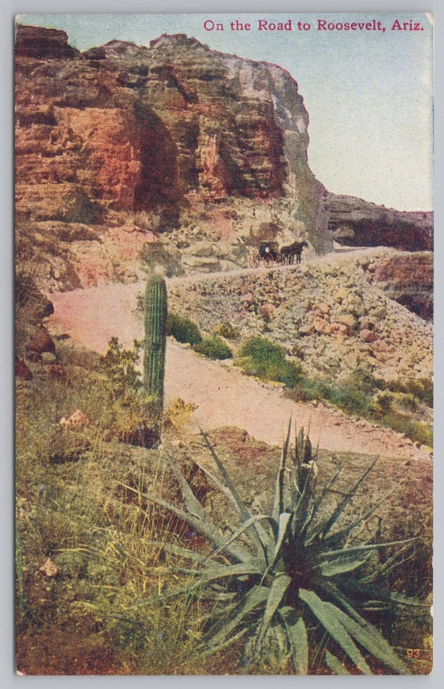 Roosevelt Arizona~Horse & Buggy on Road~Saguaro Cactus~Vintage Postcard
