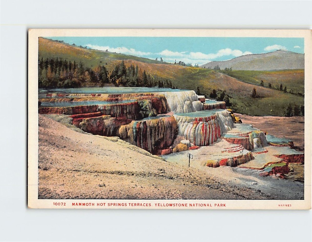Postcard Mammoth Hot Springs Terraces Yellowstone National Park Wyoming USA