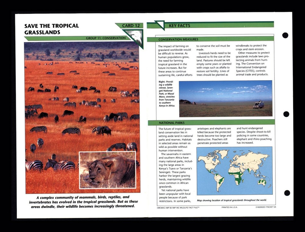 Tropical Grasslands Wildlife Conservation Fact File Cards for Homeschooling  