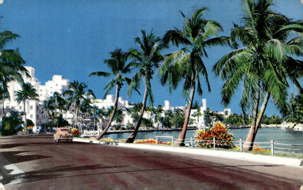 1955 Miami Beach Florida Indian Creek Drive Mid Century Modern Chrome Postcard
