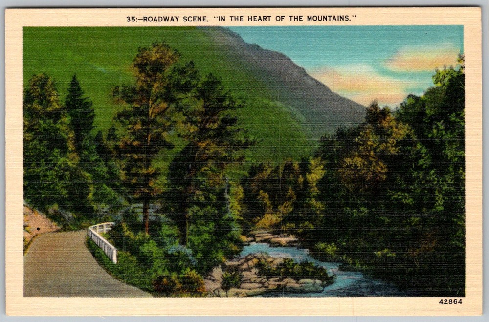 Vtg Linen Postcard Roadway Scene River Mountains Asheville, NC 1930s
