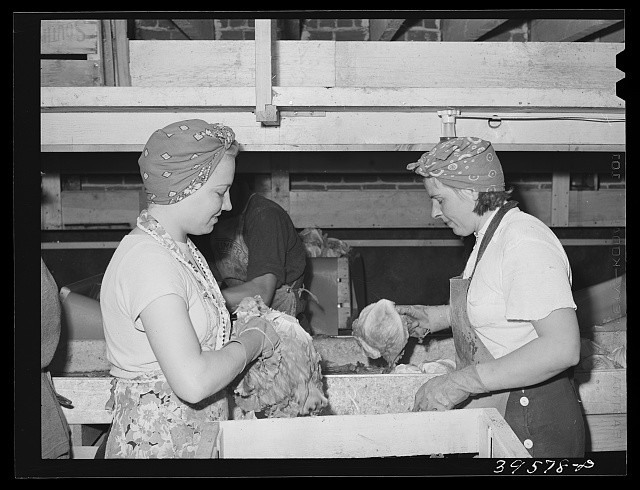 Photo:Canyon County Idaho 1941 Lettuce Packing in Crates for Shipment