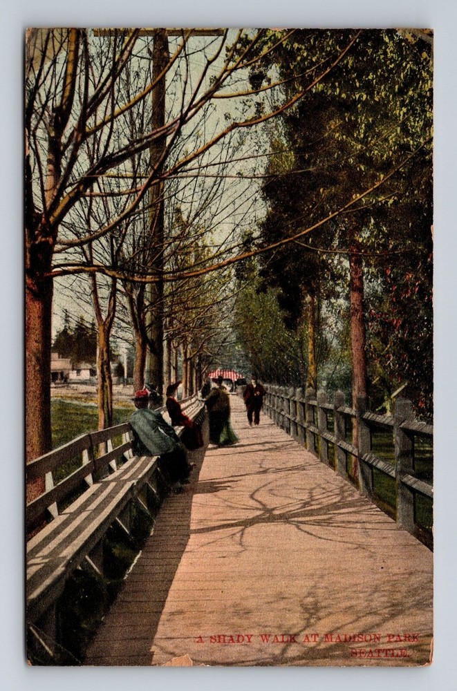 Seattle WA-Washington, Shady Walk At Madison Park, Antique, Vintage Postcard