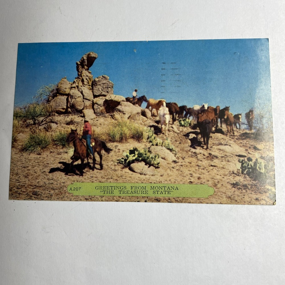Postcard  Greetings From Montana The Treasure State