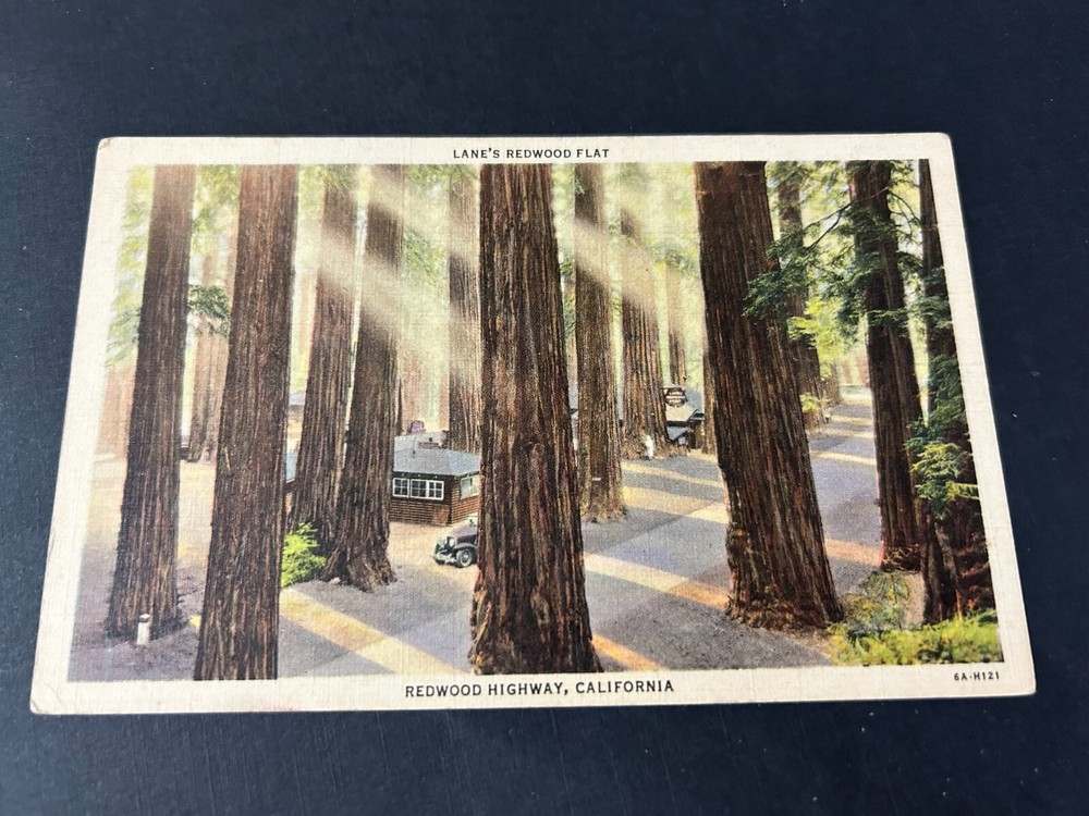 Lane's Redwood Flat Redwood Highway California Postcard