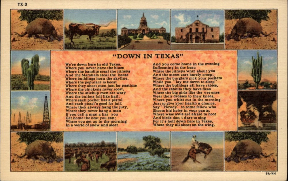 Texas Down In Texas poem cactus oil wells cattle Alamo multiview linen postcard