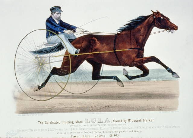 Harness Racing,Horse Racing,Celebrated Trotting Mare,Lula,Joseph Harker,1874