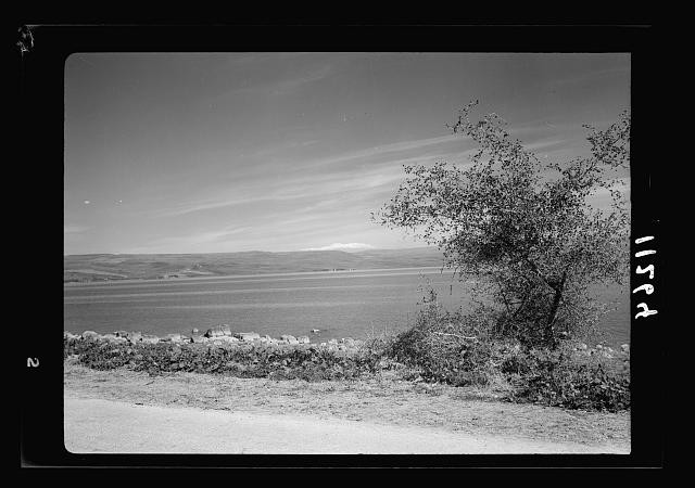 Photo:Sea of Galilee Mt Hermon Magdala Road 1940 Lake View