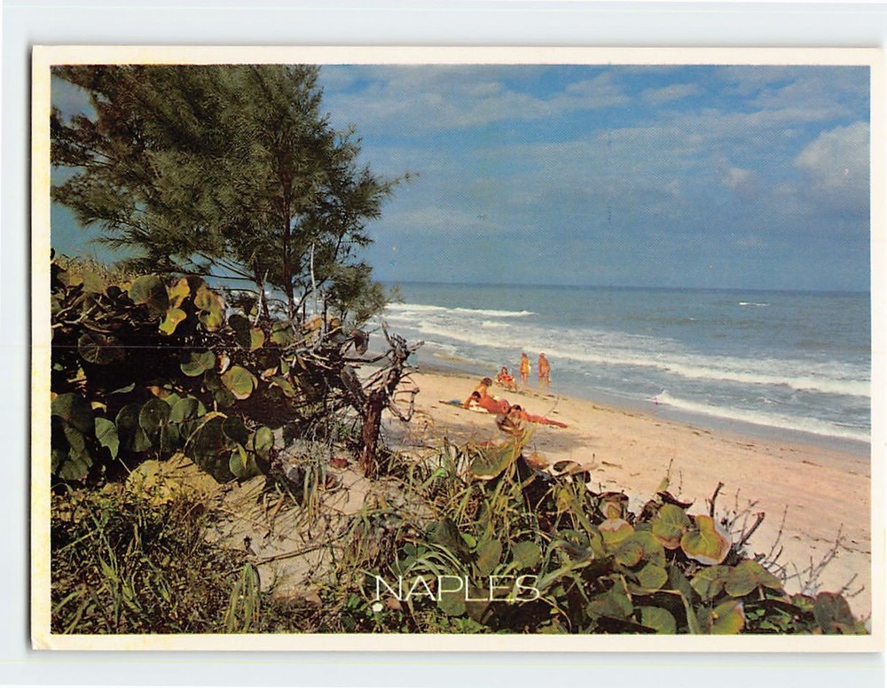 Postcard Beach Scene Naples Florida USA