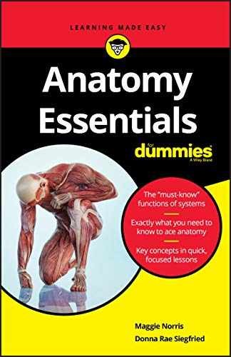 Anatomy Essentials For Dummies - Paperback, by Norris Maggie A.; - Very Good