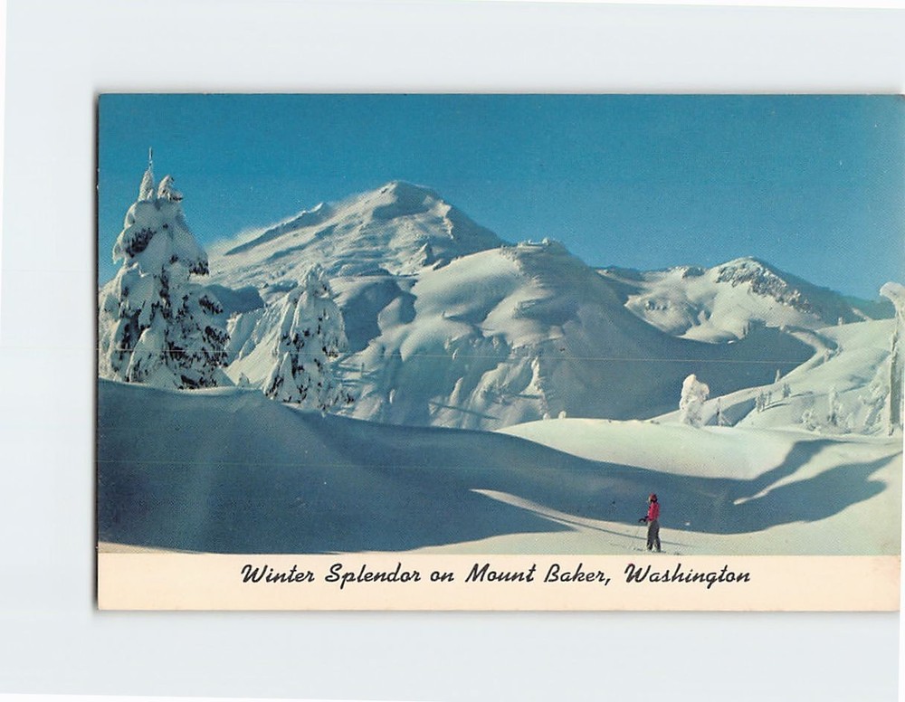 Postcard Winter Scene Mt. Baker Washington USA