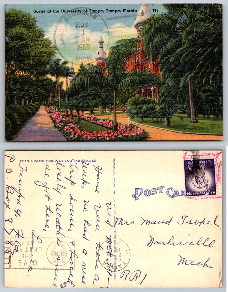 University of Tampa Florida Postcard 1958 Tichnor Bros. Quality Views Palm Trees