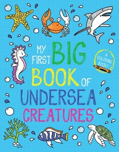 My First Big Book of Undersea Creatures by Little Bee Books: Used