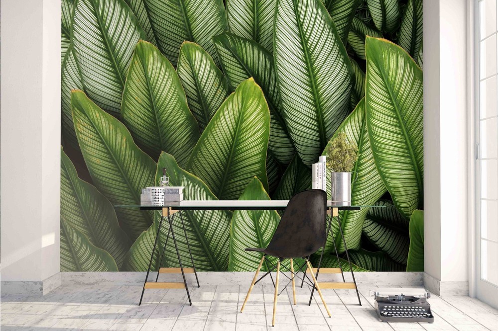 3D Plants Leaves Close-up Wall Murals Wallpaper Murals Wall Sticker