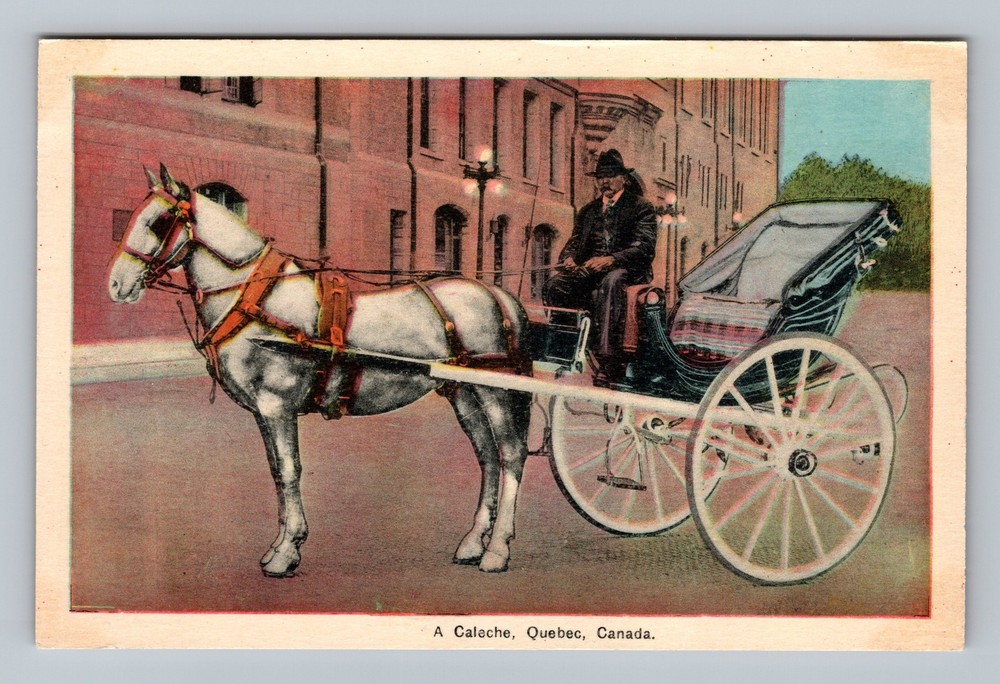 Canada Quebec Montreal A Calache Standard Postal Old Card View Vintage Postcard
