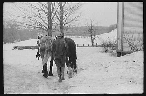 Walter Gaylord,Mad River Valley,Waitsfield,Vermont,VT,Maple Syrup,1940,FSA,34