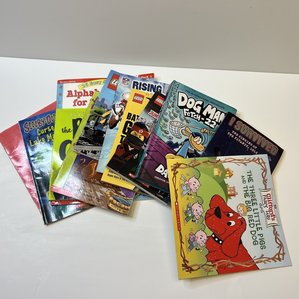 Lot of 12 Children's Scholastic Books Random Titles