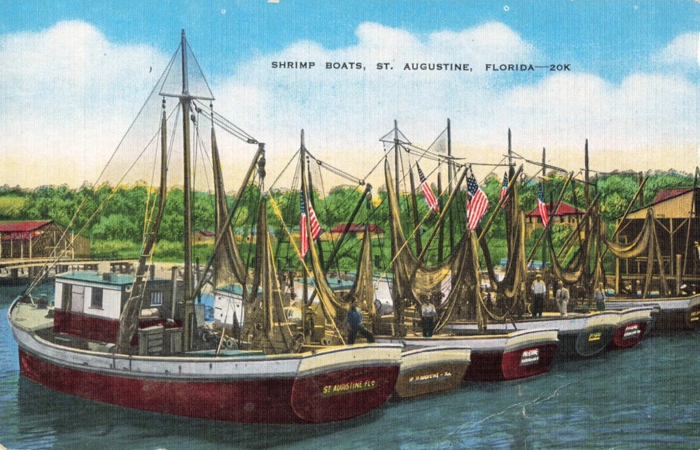 St Augustine Florida, Shrimp Fishing Boat Fleet, Vintage Postcard