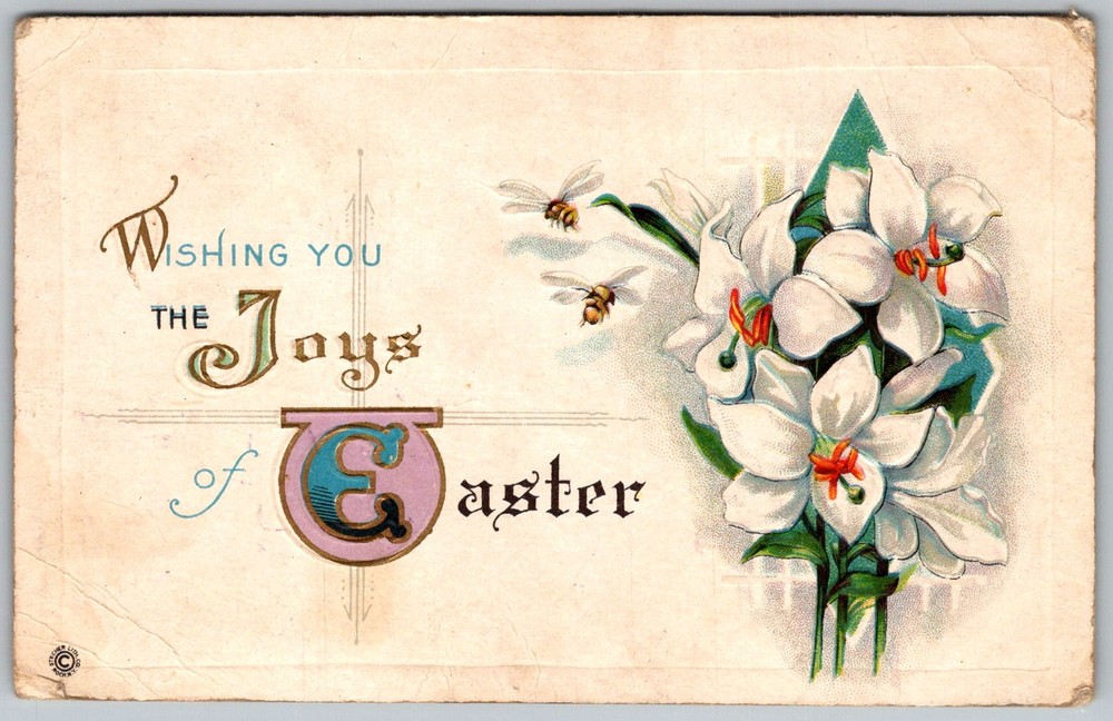 Antique Postcard Easter Lilies Edina, MO 1910s