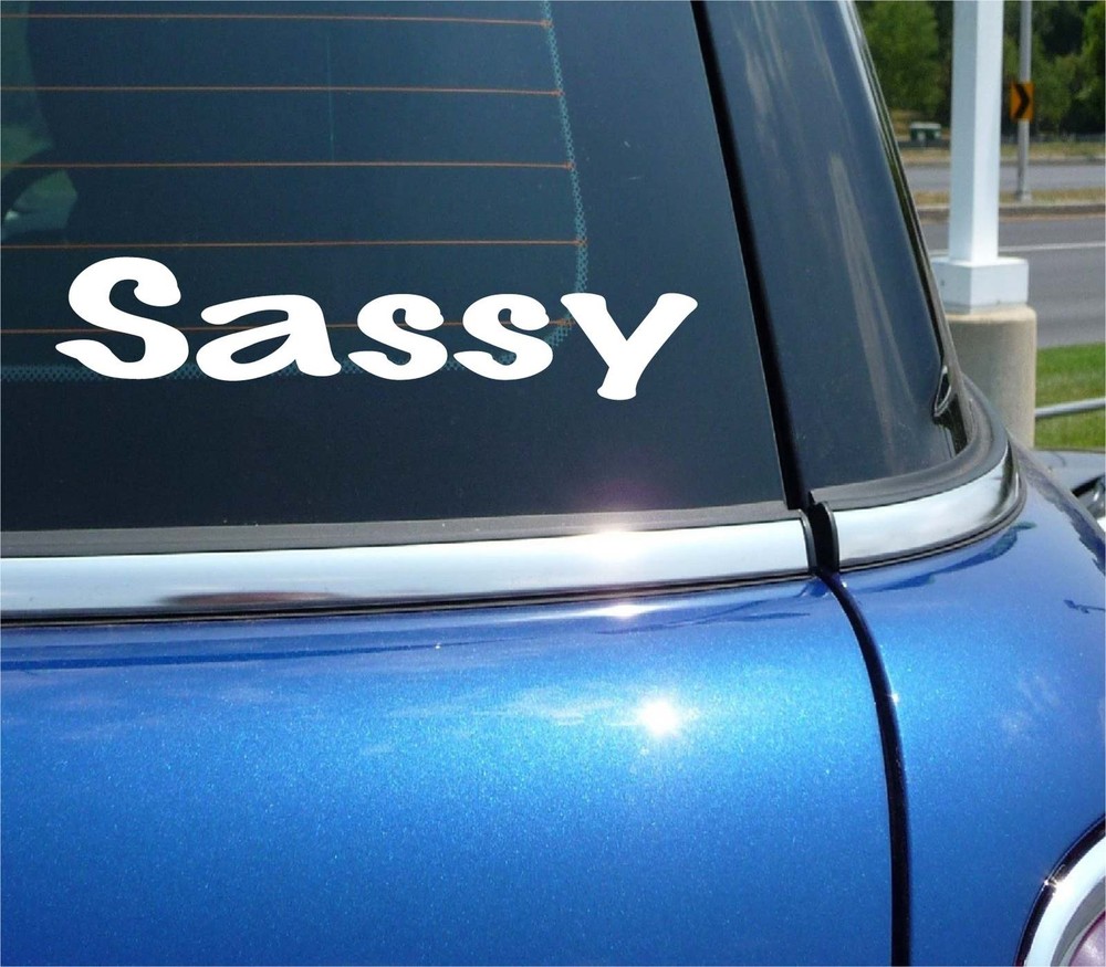 SASSY SPICY SPAT FUNNY DECAL STICKER ART CAR WALL