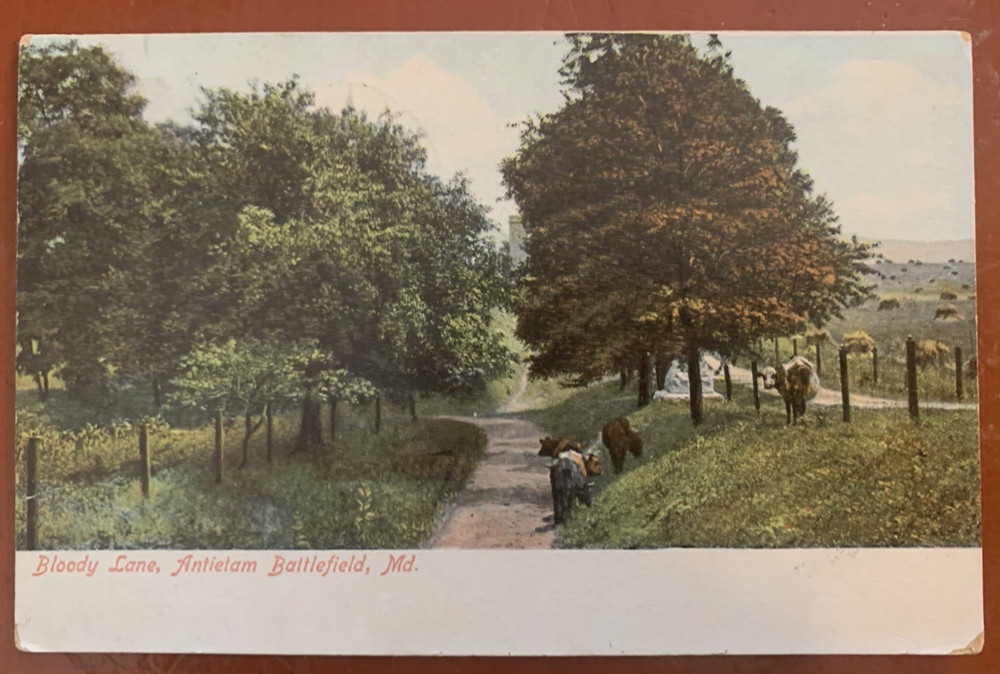 Bloody Lane Antietam Battlefield Sharpsburg Maryland Postcard c1907