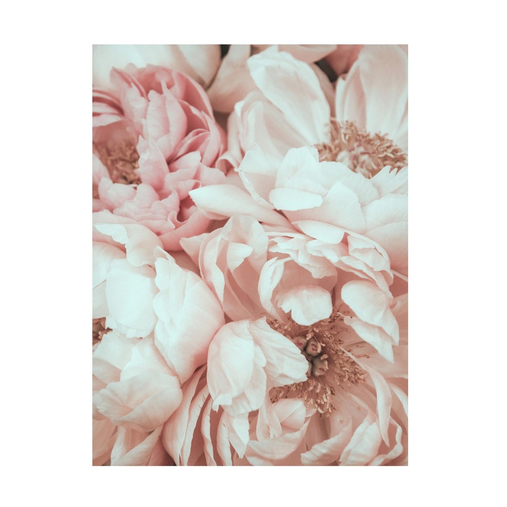 Canvas Wall Art - Magda Izzard 'Blossom Mix' Wall Art for Living Room, Bedroo...