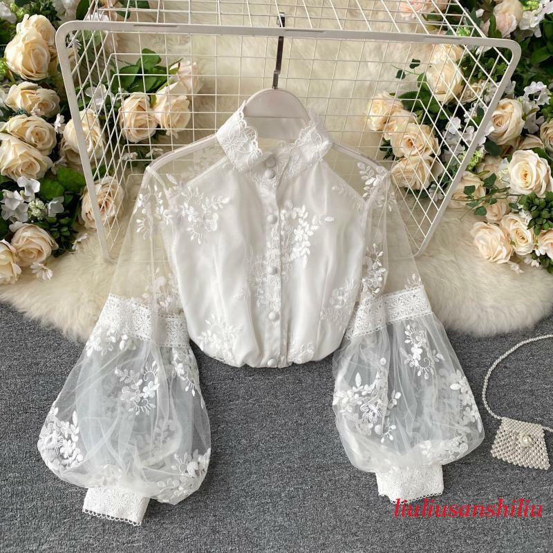Women Lace Mesh Shirt Puff Long Sleeve Blouse Top Button Embroidered Elegant New