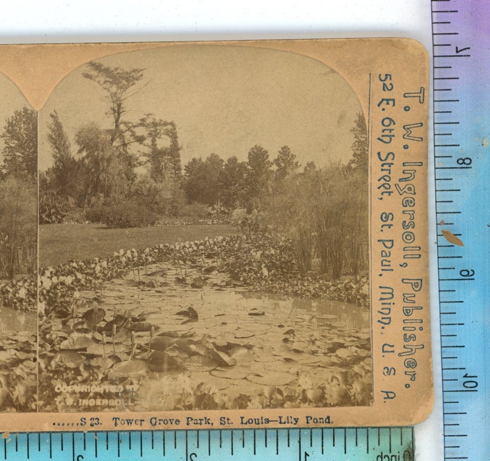 Tower Grove Park St Louis Lily Pond MO Missouri Ingersoll Stereoview