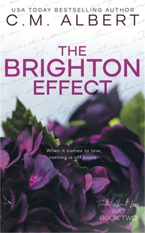 The Brighton Effect (Paperback or Softback)