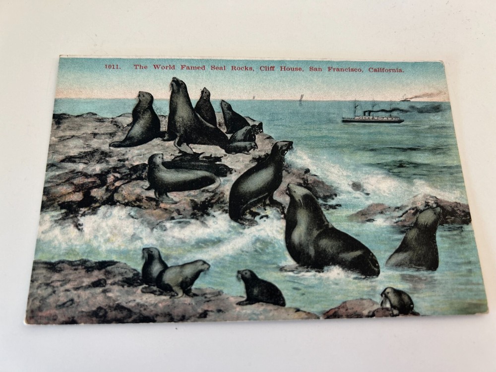 The World Famous Seal Rocks Cliff House San Francisco California Postcard