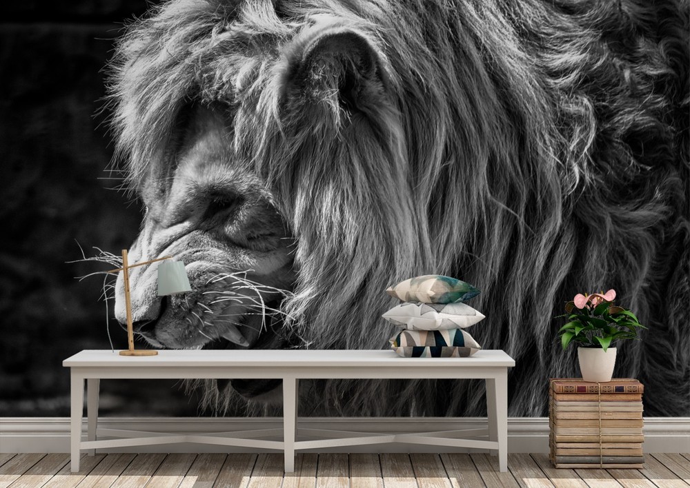 3D Lion Animal Close-up Wall Murals Wallpaper Murals Wall Sticker