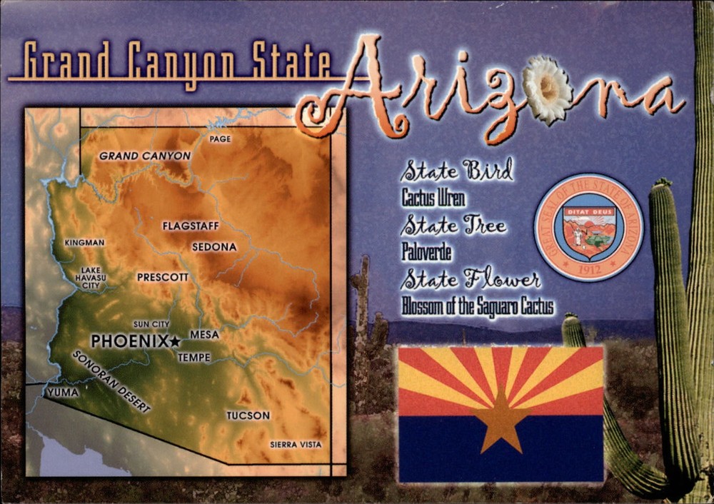 Arizona Map Grand Canyon State Saguaro Cactus flower ~ unused postcard sku623