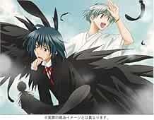Sakura Kinoshita manga: Tactics 6 First Limited Edition Japan Bo... book form JP