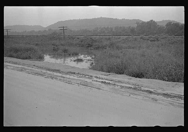 Photo:Rural Road Marsh Landscape 1930s Black and White Photograph