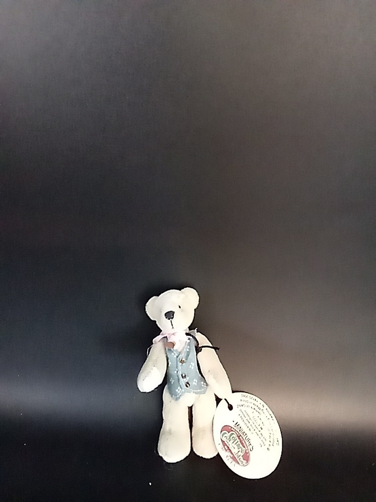 Cottage Collectibles Miniatures by Ganz Name Charles Bear