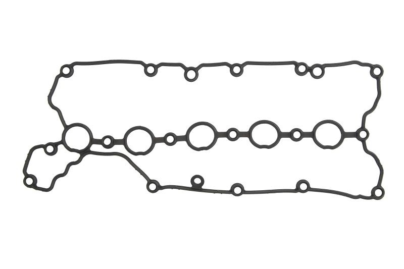 Valve cover gasket for TT; SEAT LEON ST; SKODA FABIA II