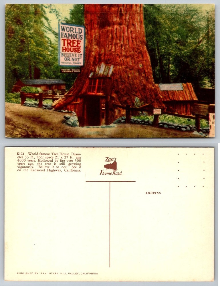 World Famous Tree House Redwood Hwy California Zan's Krome Kard Postcard