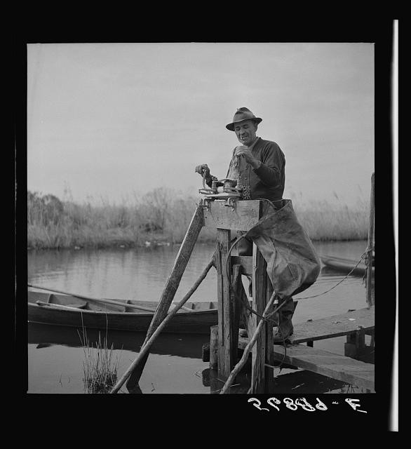Delacroix Island Louisiana 1941 Muskrat Pelts Trapper Wringer Spanish Camp