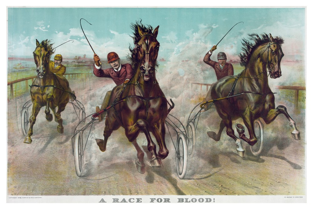 Decor Horse Poster. Fine Graphic Art. A Race for Blood. Home Wall Design. 1149
