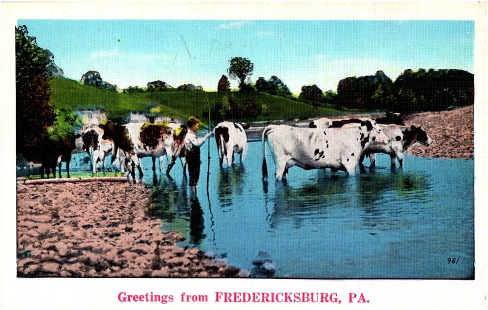 Greetings from Fredericksburg Pennsylvania PA Boy Herding Cows 1920s Postcard