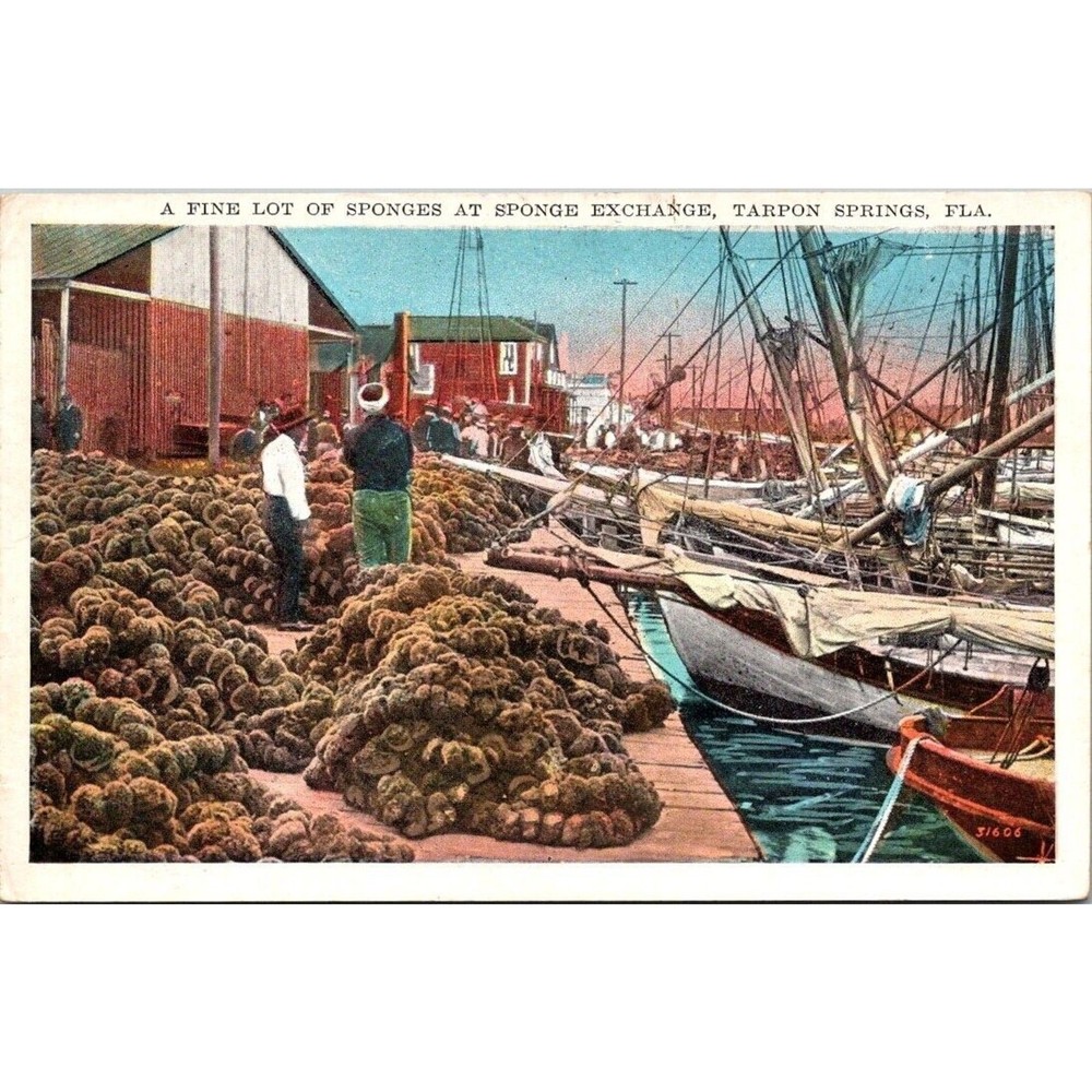 Tarpon Springs FL Fine Lot of Sponges at the Sponge Exchange Florida Unposted