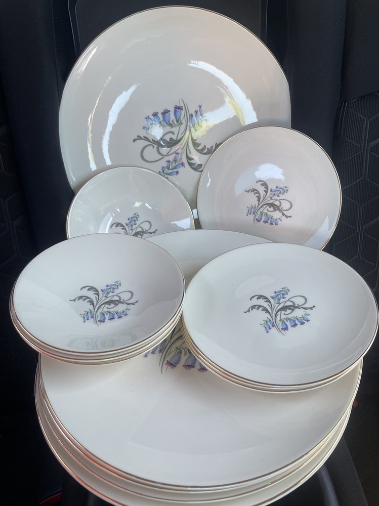 Porcelain Floral Dinner Set Dinner Salad Plates Bowls