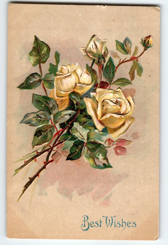 Vintage Embossed Yellow Roses Postcard Best Wishes 1907