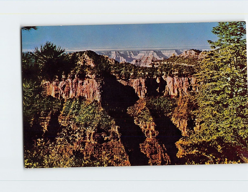 Postcard Grand Canyon National Park Arizona USA